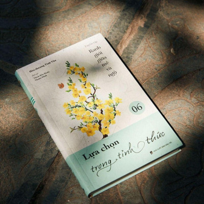 Sách - Lựa Chọn Trong Tỉnh Thức - Tập 6 - Tuyển Tập Ranh Giới Giữa Mê Và Ngộ - Vĩnh Nghiêm Books