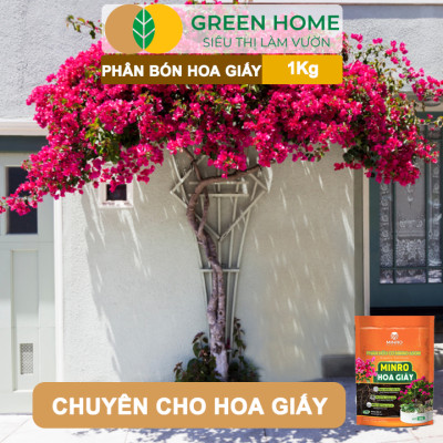 Phân Bón Hoa Giấy Greenhome, Minro, Bao 1kg, Hữu Cơ, Cứng Thân, Tạo Tán, Ra Bông Nhiều, Lâu Tàn