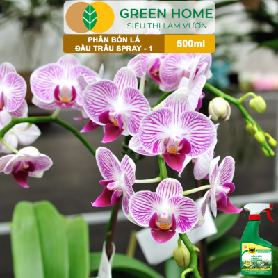Phân Bón Lá Đầu Trâu Spray-1 Greenhome, Bình Điền, Chai 500ml, Nảy Chồi Ra Lá, Chuyên Lan Và Hoa Kiểng