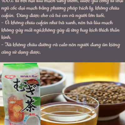 TRÀ LÚA MẠCH KODA SHOTEN 510G - Hàng nội địa Nhật Bản