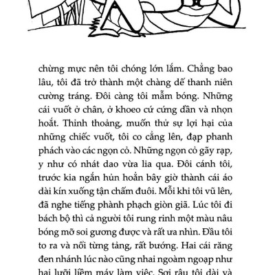 Sách - Dế Mèn Phiêu Lưu Ký - Diary Of A Cricket - Song Ngữ - Tiếng Anh - Tiếng Việt (Tái Bản 2025)