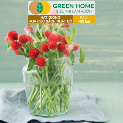 Hạt Giống Hoa Cúc Bách Nhật Đỏ GreenHome, Gói 0,1g~50 hạt, Dễ Trồng Quanh Năm, Ra Hoa Liên Tục H16