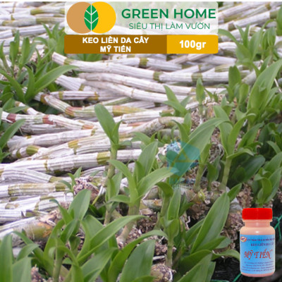 Keo Liền Sẹo Cho Cây Greenhome, Mỹ Tiến, Chai 100gr, Liền Nhanh Vết Cắt Da Cây, Chiết Cành, Tạo Dáng Bonsai, Lan, Kiểng