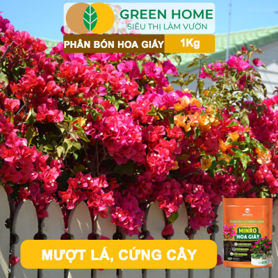 Phân Bón Hoa Giấy Greenhome, Minro, Bao 1kg, Hữu Cơ, Cứng Thân, Tạo Tán, Ra Bông Nhiều, Lâu Tàn