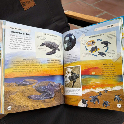 (Bìa cứng in màu) AMAZING ANIMAL JOURNEY – Những Chuyến Di Cư Và Hành Trình Phi Thường Nhất – Philippa Forrester – Phạm Trang dịch – Đinh Tị – NXB Hà Nội