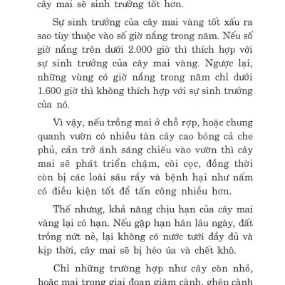 Trồng Mai - Kỹ Thuật Bón Tưới, Phòng Trừ Sâu Rầy, Bệnh Hại