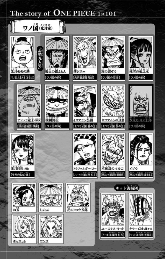One Piece 101