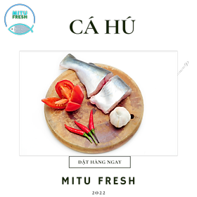 Cá Hú làm sạch không đầu ( 0.7-1kg/con)