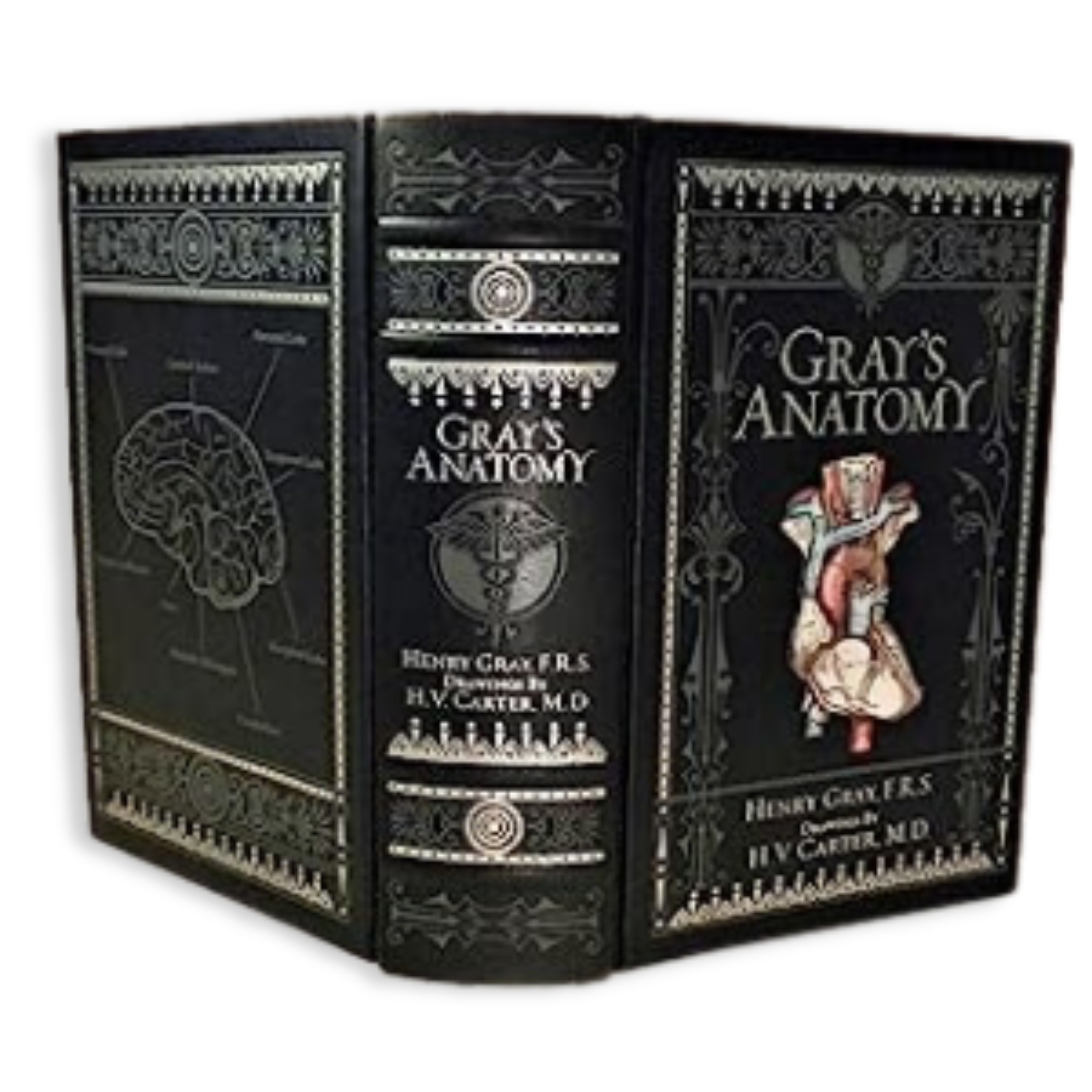 Artbook - Sách Tiếng Anh - Gray