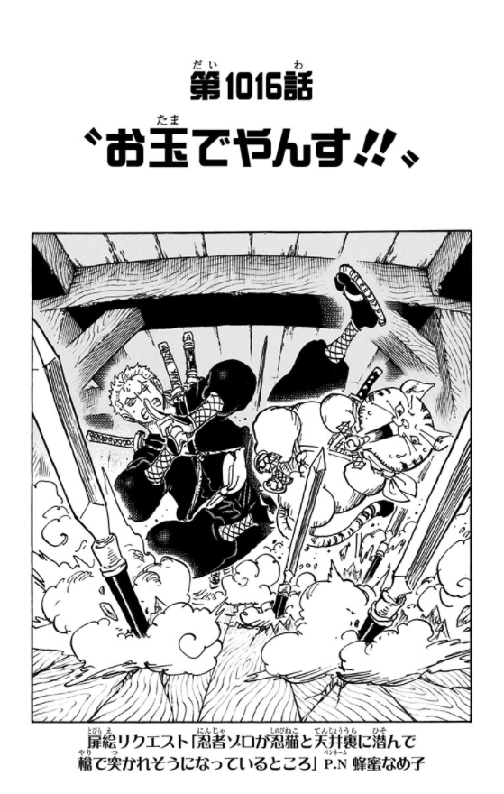 One Piece 101