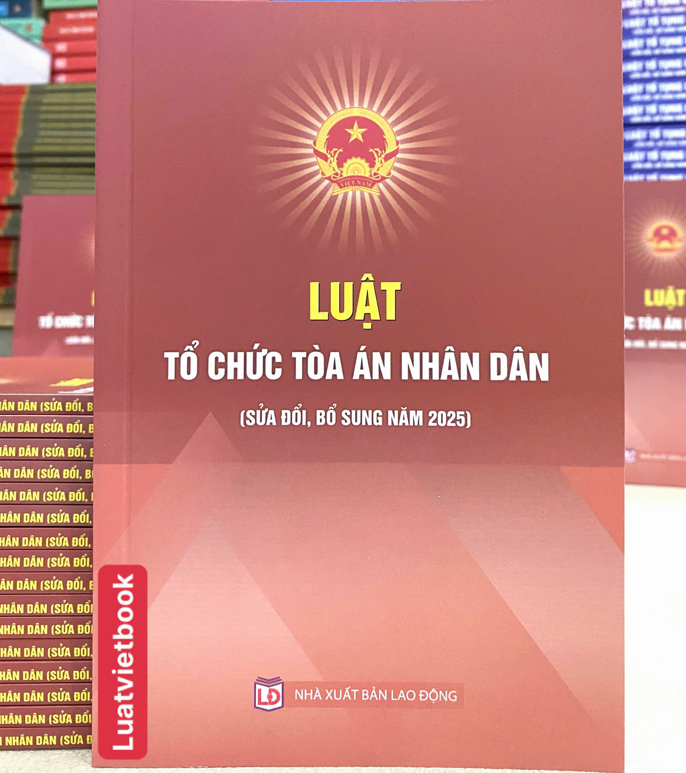 Luật Tổ Chức Toà Án Nhân Dân ( Sửa Đổi, Bổ Sung Năm 2025)