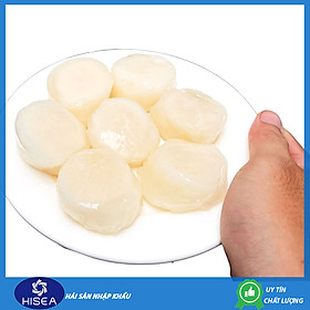 Còi sò điệp Nissi (size: 22 - 26 còi)- 1kg