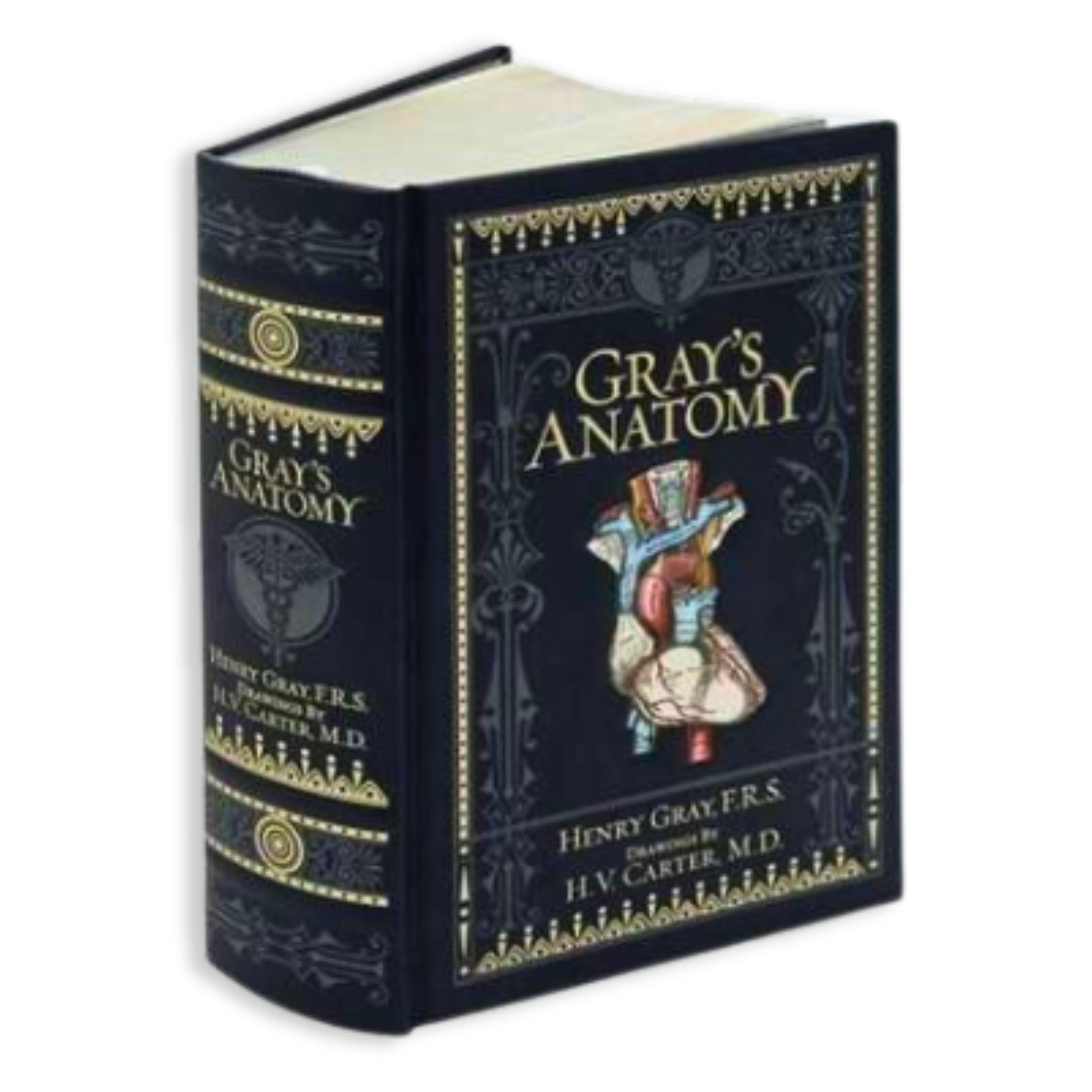 Artbook - Sách Tiếng Anh - Gray