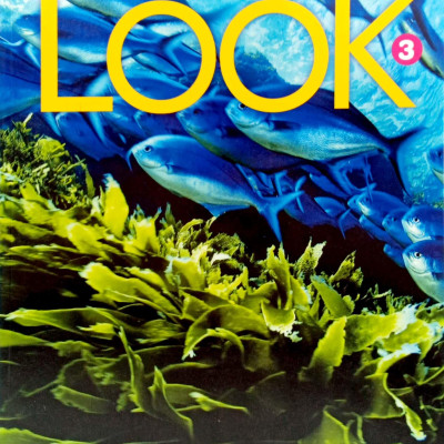 Look 3: Workbook With Online Practice