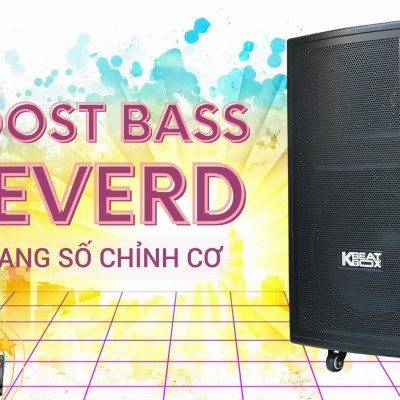 Dàn âm thanh di động ACNOS CB31