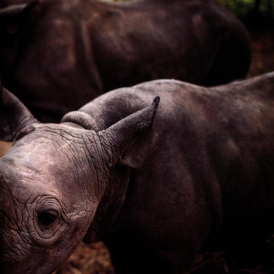 Our World American English 3: Student