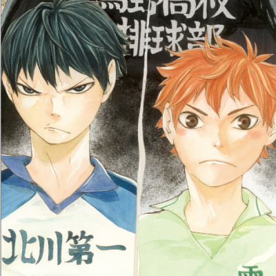 ハイキュー！！公式カラーイラスト集ハイカ JEISHI HAIKYUU ! ! KOUSHIKI KARA IRASUTO