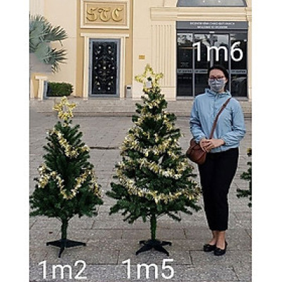 Cây thông noel màu xanh 1m2 - Tán dày và đẹp, cây thông chắc chắn và dể tháo lắp