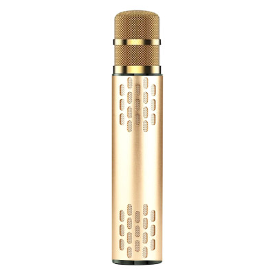 Micro Karaoke Bluetooth kèm loa không dây  hút âm siêu nhẹ cao cấp PKCB khay gắn thẻ nhớ TF, Jack line 3.5mm cho điện thoại, máy tính bảng - Hàng Chính Hãng