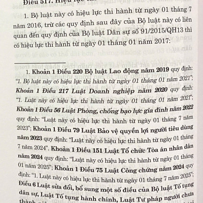 Bộ Luật Tố Tụng Dân Sự Năm 2015 ( Sửa Đổi, Bổ Sung Năm 2019, 2020, 2022, 2023, 2024, 2025 )