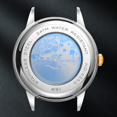 Đồng hồ nam chính hãng IW Carnival  IW625G-3 ,kính sapphire,chống xước,chống nước 50m,Bh 24 tháng,máy cơ (automatic)