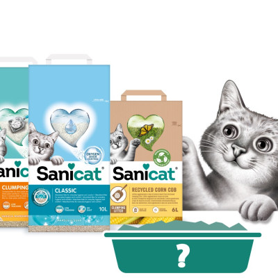 SANICAT Cát vệ sinh Hương Quýt Vanilla Mandarin - (Betonite-đất sét) 10L