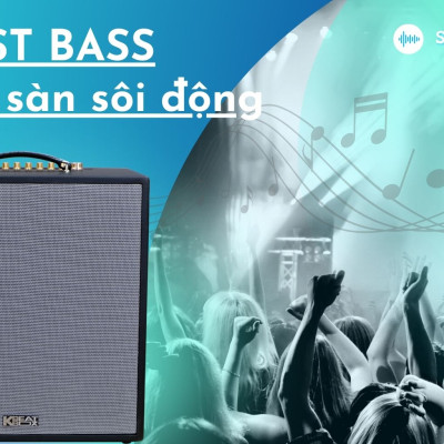 Dàn âm thanh di động xách tay ACNOS CS300