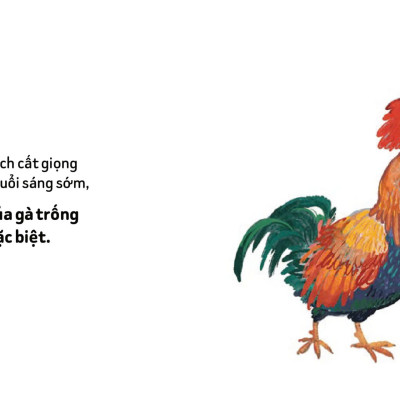 Mình Cùng Làm Nhé - Ca Hát