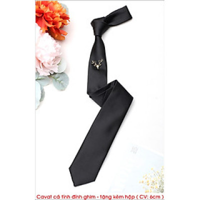 Cavat cá tính đính ghim , bản nhỏ 6cm trẻ trung năng động - tặng kèm hộp nhỏ