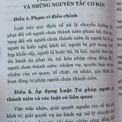 Luật Tư pháp người chưa thành niên năm 2024 (sửa đổi, bổ sung năm 2025)