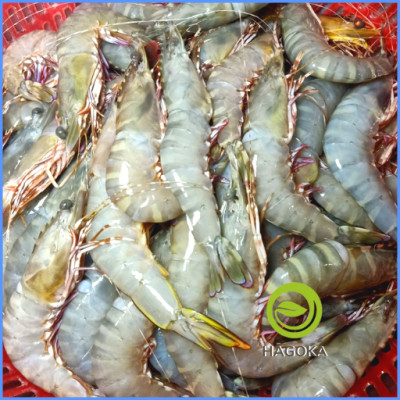 [Chỉ giao HCM] 500gr TÔM THẺ BIỂN (loại 15 con trở lên)