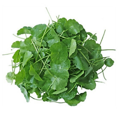 [Chỉ Giao HCM] - RAU MÁ HỮU CƠ QUỲNH LÂM 250G