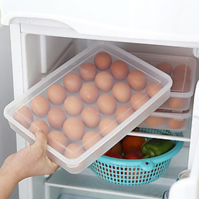 Hộp đựng trứng 24 quả có nắp đậy nhựa Việt Nhật (6786), khay bảo quản trứng không bị vỡ chắc chắn
