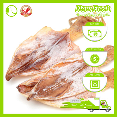 [GIAO NHANH HCM] Mực Ống Một Nắng Đặc Biệt Loại 1 - Túi 1Kg (4-5 con)