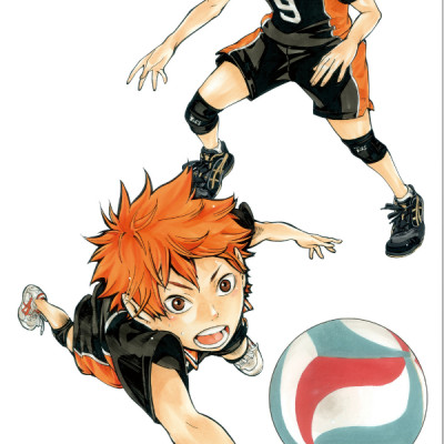 ハイキュー！！公式カラーイラスト集ハイカ JEISHI HAIKYUU ! ! KOUSHIKI KARA IRASUTO