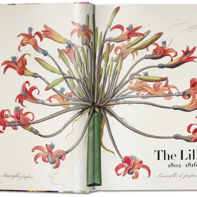 Artbook - Sách Tiếng Anh - Book Of Flowers