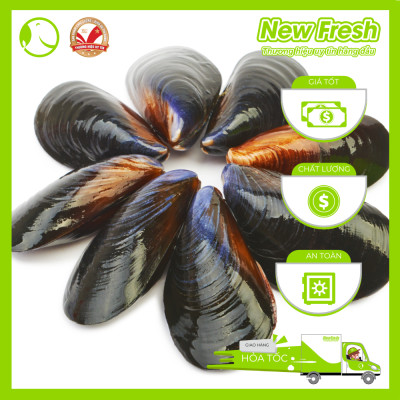 [GIAO NHANH HCM] Vẹm Đen Chile Nửa Mảnh - Túi 500Gr