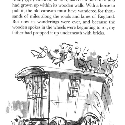 Danny the Champion of the World