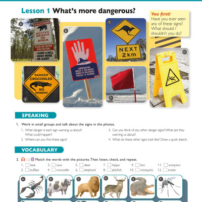 American Jetstream Pre-Intermediate B Student