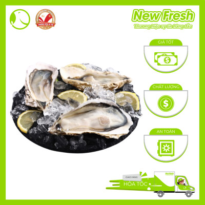[GIAO NHANH HCM] Hàu Nhật - Túi 1Kg (9-11 con)