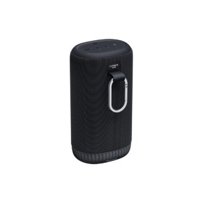 Loa Logitech Bluetooth Ultimate Ears Everboom - Chống nước IP67 -  Hàng Chính Hãng