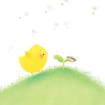 Sách - Gà con và hoa hướng dương