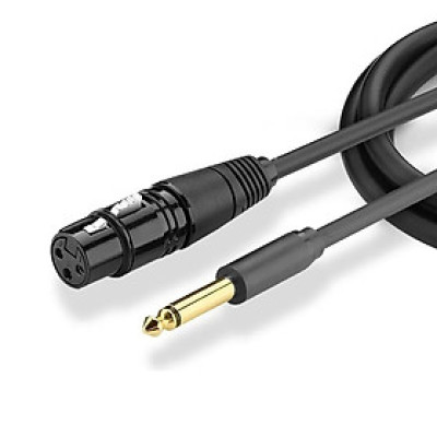 Cáp chuyển đổi Audio từ 6.5 Ugreen ra AV canon âm cho microphone, stereo, mixer, amplifier, camera environment - Hàng Chính Hãng