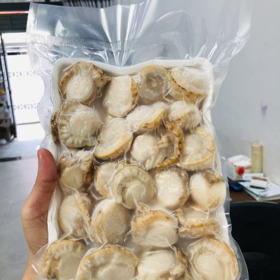 Còi sò điệp hấp ( size 40-60 còi)-1kg