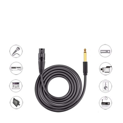 Cáp chuyển đổi Audio từ 6.5 Ugreen ra AV canon âm cho microphone, stereo, mixer, amplifier, camera environment - Hàng Chính Hãng