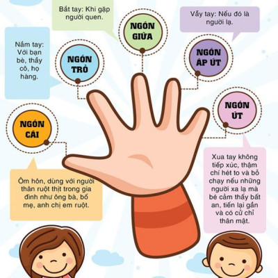 Combo Sân Chơi Phát Triển Trí Tuệ (Bộ 6q): Chim Đa Đa - Tặng kèm poster An Toàn Cho Con Yêu (Quy Tắc An Toàn Cho Bé)