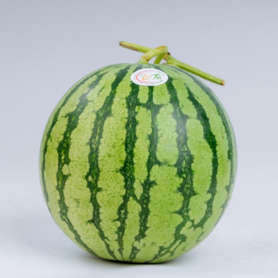 [Chỉ Giao HCM] - Dưa hấu ruột đỏ không hạt (3 - 5 kg/trái)