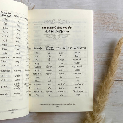 COMBO 2 cuốn: 30 ngày trôi chảy tiếng Lào + Tổng hợp từ vựng cơ bản và nâng cao song ngữ Việt - Lào