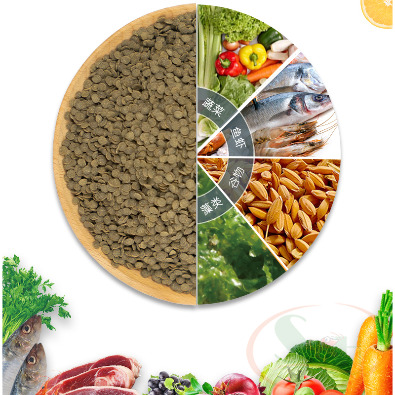 Thức ăn cá Biozym Ratfish Food viên chìm tầng đáy bể cá tép pleco chuột cảnh