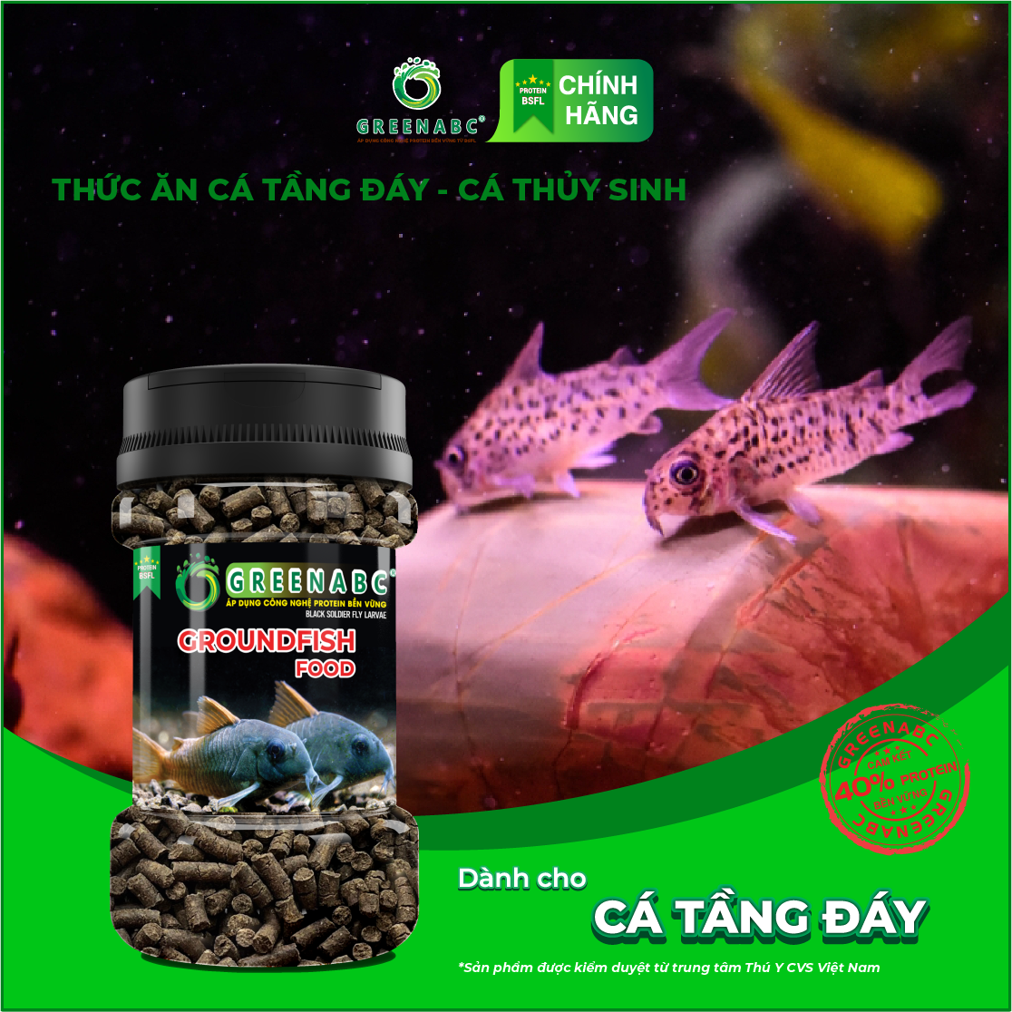 Thức ăn cá Chuột, cá Lau Kính, cá Tỳ Bà, cá Chạch, cá Oto, cá Chép,… GREENABC - Tăng kích thước, lên màu đẹp - Hộp 65g